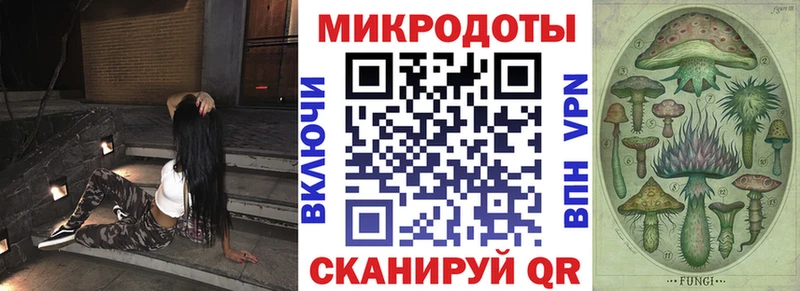 Псилоцибиновые грибы Psilocybe  Кемерово 
